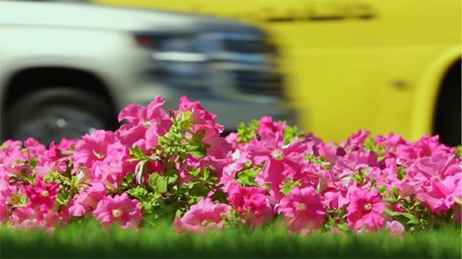 Συντήρηση αυτοκινήτου για την άνοιξη 